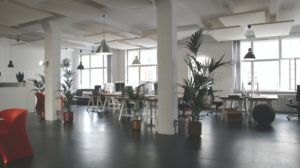 Best Corporate Wellness Programs